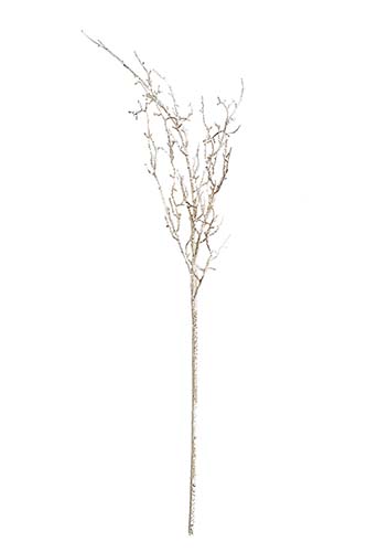 44" Twig Branch