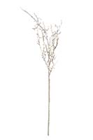 44" Twig Branch