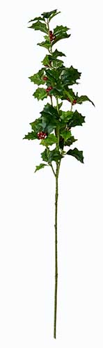 29" Holly Leaf Spray w/ Berries