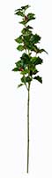 29" Holly Leaf Spray w/ Berries