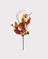 12" Fall Leaf & Pod Pick