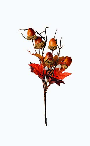 8" Fall Maple Leaf & Acorn Pick