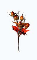 8" Fall Maple Leaf & Acorn Pick