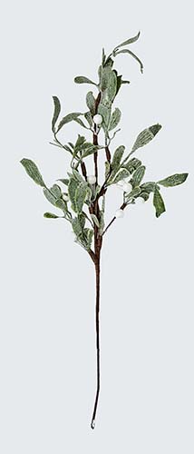 20" Mistletoe Spray