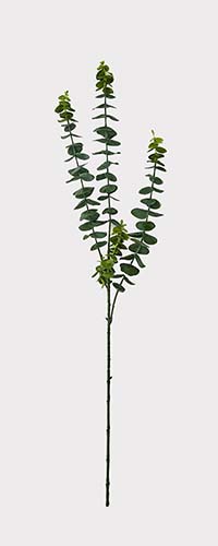 32" Eucalyptus Spray