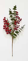 19" Red Berries And Eucalyptus Spray