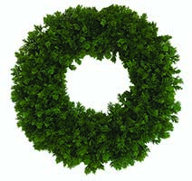 24" Cypress Wreath