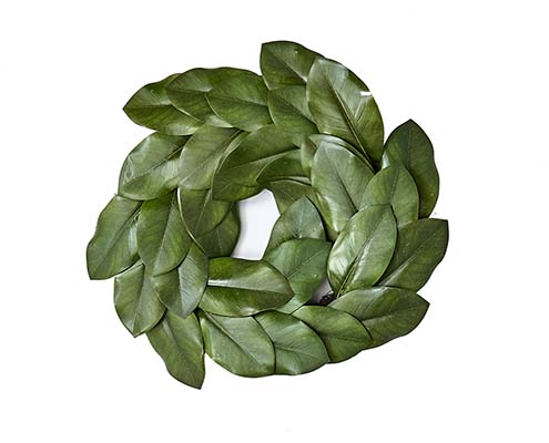 20" Magnolia Wreath - CLOSEOUT