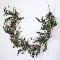 72" Eucalyptus And Berry Garland