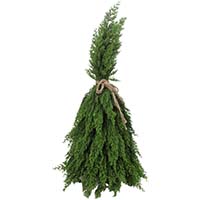 24" Artificial Tabletop Christmas Evergreen Bundle