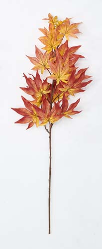 30" Maple Leaf Spray