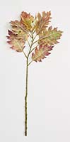 29" Fall Oak Leaves Spray